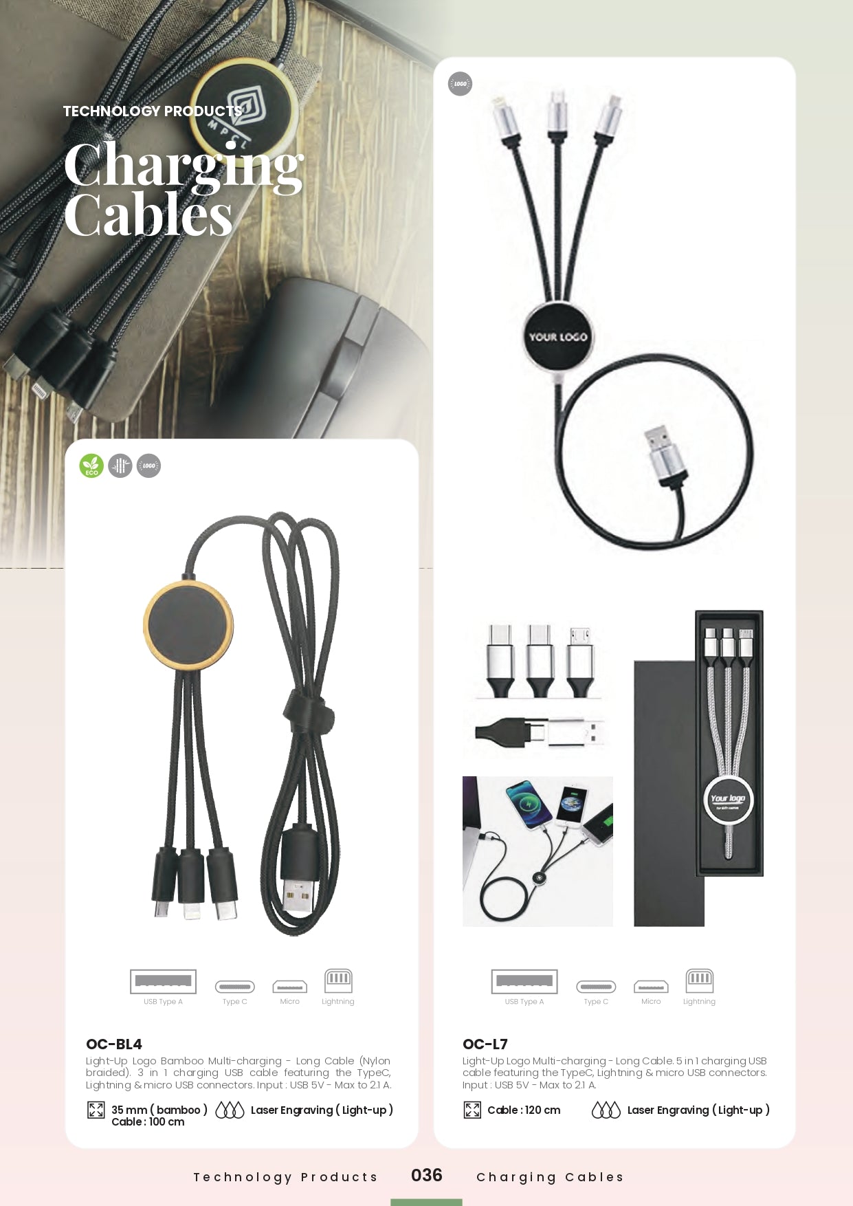 Charger/Cables