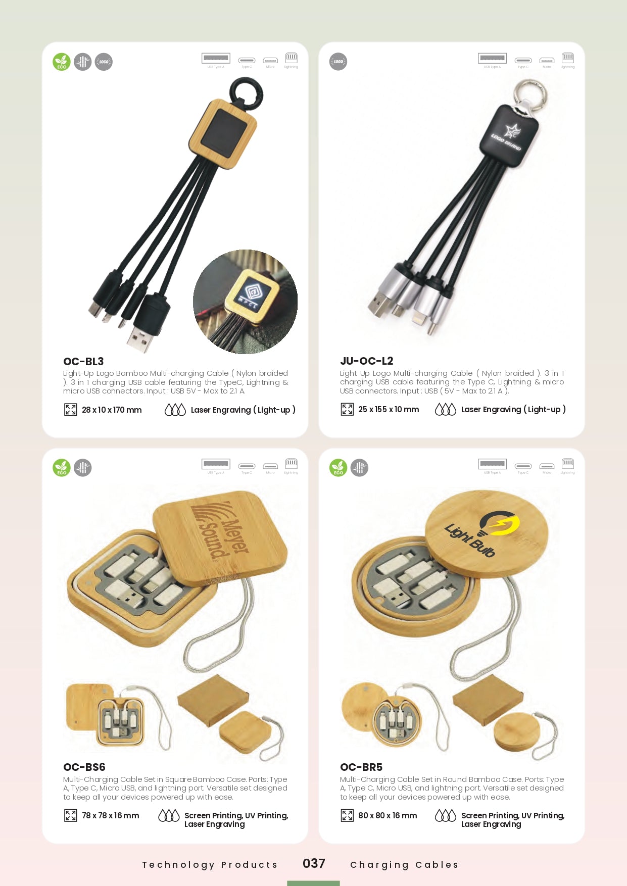 Charger/Cables
